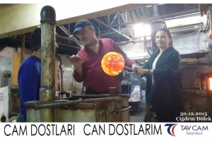 Çiğdem Dölek