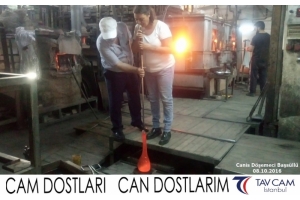 Canis Döşemeci Başsüllü