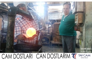 S.Ali Ergin