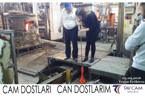 Yeşim Eröktem