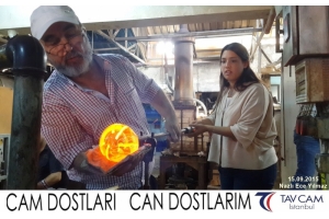 Nazlı Ece Yılmaz