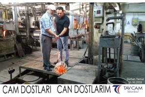 Gürkan Temur
