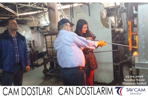 Neziha Nezir ve Mustafa Sertel