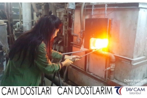 Didem Aydoğdu