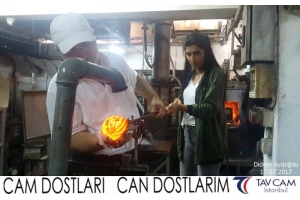 Didem Aydoğdu