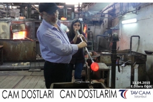 E.Dilara Öğüt