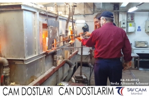 Seda Altuncu Adanur
