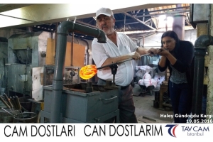 Haley Gündoğdu Kargı