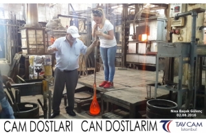 Nisa Başak Gülenç
