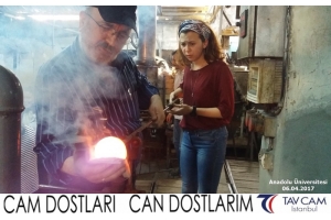 Anadolu Üniversitesi