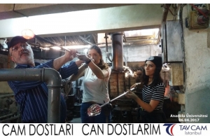 Anadolu Üniversitesi