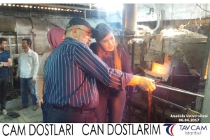 Anadolu Üniversitesi