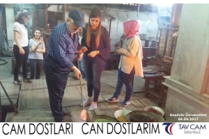 Anadolu Üniversitesi