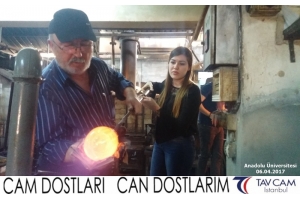 Anadolu Üniversitesi