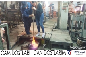 Anadolu Üniversitesi