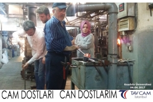 Anadolu Üniversitesi