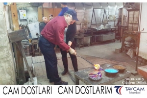 Çiğdem Dölek