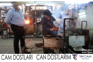 Güler İren