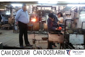 Güler İren