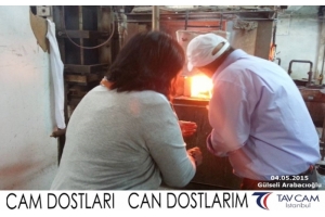 Gülseli Arabacıoğlu