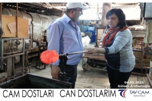 Gülseli Arabacıoğlu