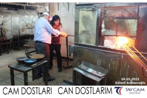 Gülseli Arabacıoğlu