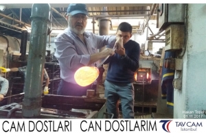 Hakan Topal
