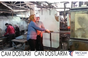 Havva Toprak Çolak