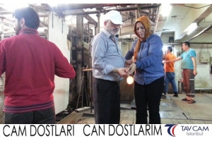 Havva Toprak Çolak
