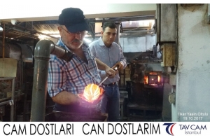 İlker Yasin Oltulu
