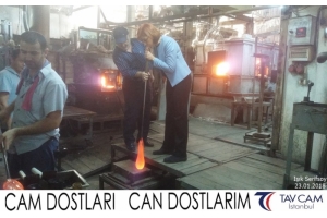 Işık Şerifsoy