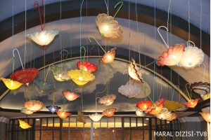 Maral Tv Dizisi - TV8