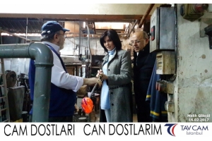 Mehlik Gökçöl