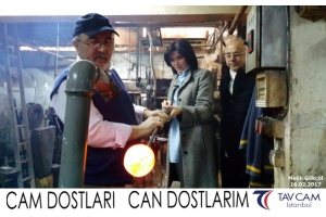 Mehlik Gökçöl
