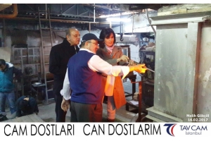 Mehlik Gökçöl
