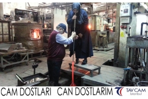 Nezihe Tekin ve Fatma Bozdoğan
