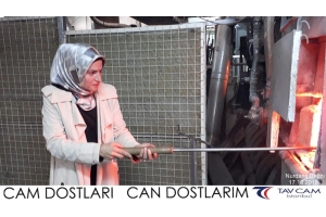 Nurdane Bağcı