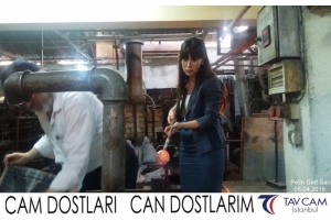 Pelin Girit Sarı