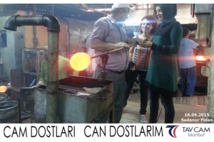 Sedanur Fidan
