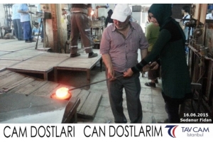 Sedanur Fidan