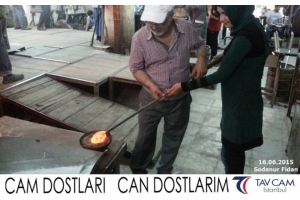 Sedanur Fidan