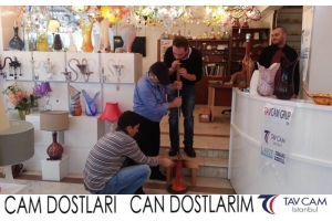 Süleyman Çakar