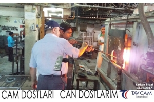 Tarkan Erdal