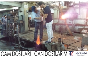 Tarkan Erdal