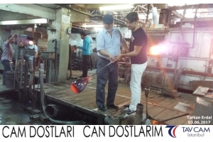 Tarkan Erdal