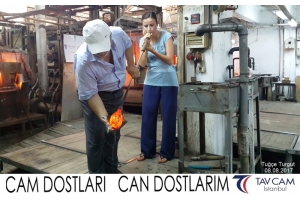 Tuğçe Turgut