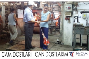 Tuğçe Turgut