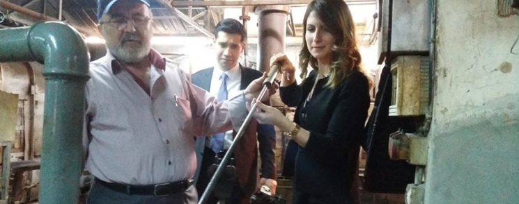 Cam Dostları Can Dostlarım - Aylin Çelik